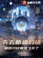 失去眼睛的话,那我只好赛博飞升了