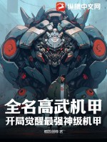 全名高武机甲,开局觉醒最强神级机甲