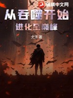从吞噬开始进化至巅峰
