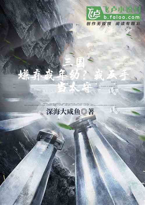 三国:嫌弃我年幼?反手当太守 三国:嫌弃我年幼?反手当太守