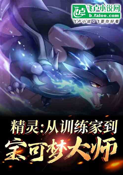 精灵:从训练家到宝可梦大师 精灵:从训练家到宝可梦大师