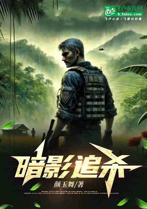 暗影追杀 暗影追杀