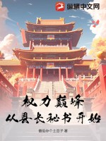 权力巅峰:从县长秘书开始