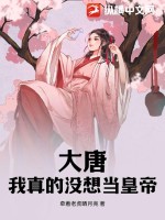 大唐:我真的没想当皇帝