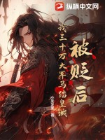 被贬后,我三十万大军马踏皇城!