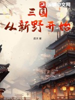 三国:从新野开始