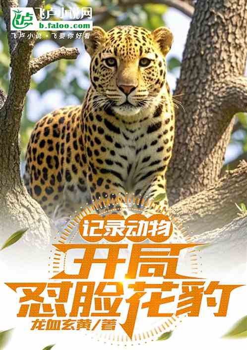 让你记录动物,没让你贴脸花豹 让你记录动物,没让你贴脸花豹