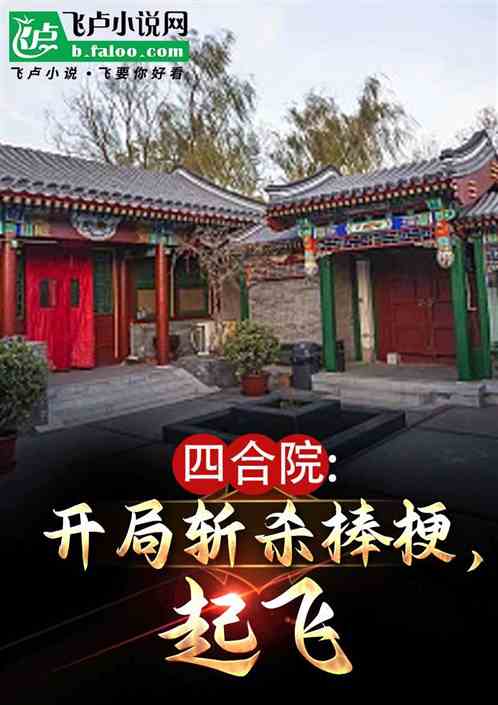 四合院:开局斩杀棒梗,起飞 四合院:开局斩杀棒梗,起飞