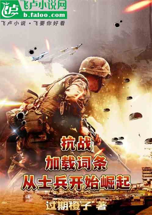 抗战:加载词条,从士兵开始崛起 抗战:加载词条,从士兵开始崛起