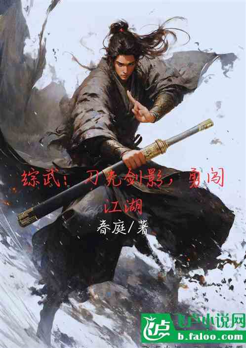 综武:刀光剑影,勇闯江湖 综武:刀光剑影,勇闯江湖