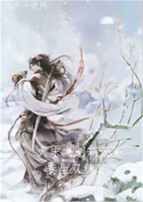 大宋之制霸天下 大宋之制霸天下