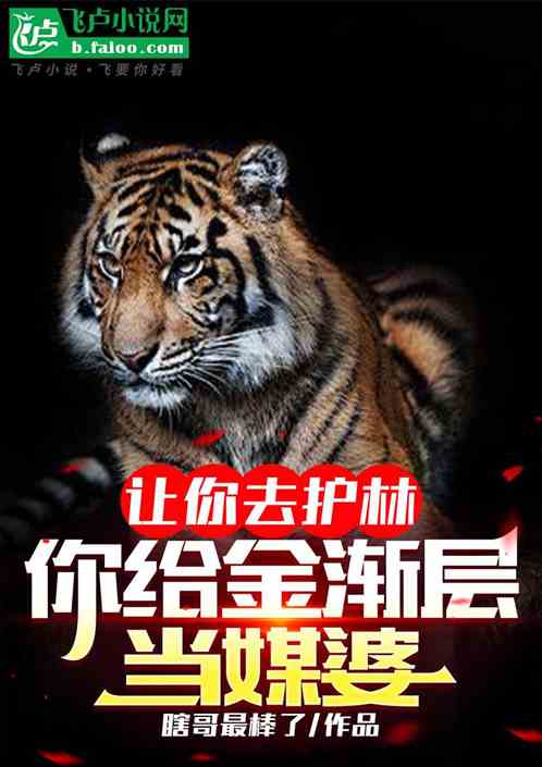 让你去护林,你给金渐层当媒婆 让你去护林,你给金渐层当媒婆