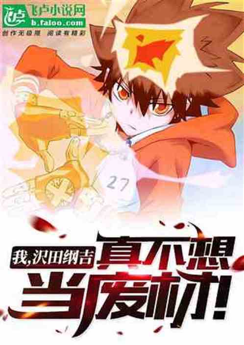 家教:我,沢田纲吉,打破宿命! 家教:我,沢田纲吉,打破宿命!
