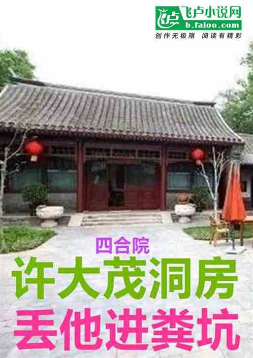 四合院:许大茂洞房?踹他进粪坑 四合院:许大茂洞房?踹他进粪坑