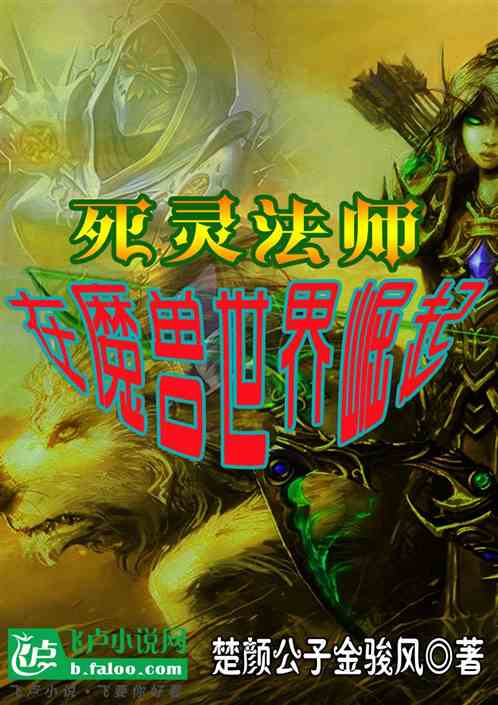 死灵法师,在魔兽世界崛起 死灵法师,在魔兽世界崛起