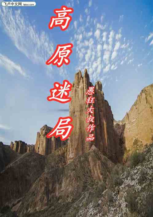 高原迷局 高原迷局